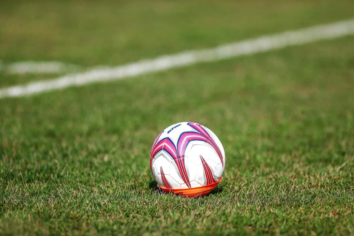 彩客网专业分析师团队